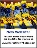 New Website
