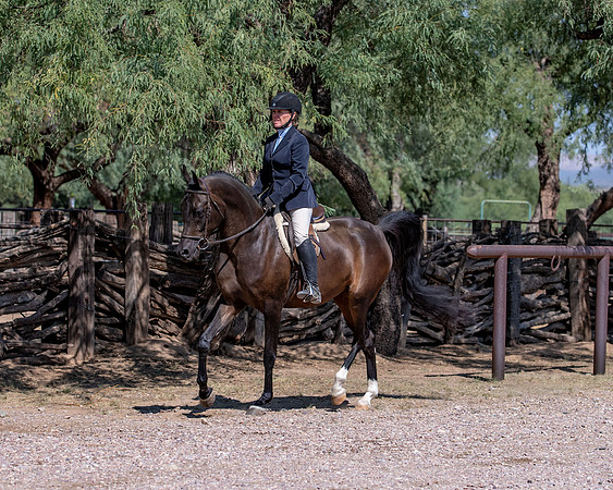 AgracedRS20_4473