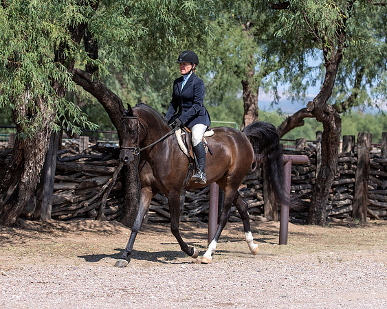 AgracedRS20_4471