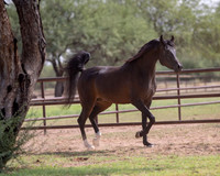 AgracedRS20_1388
