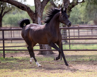 AgracedRS20_1348
