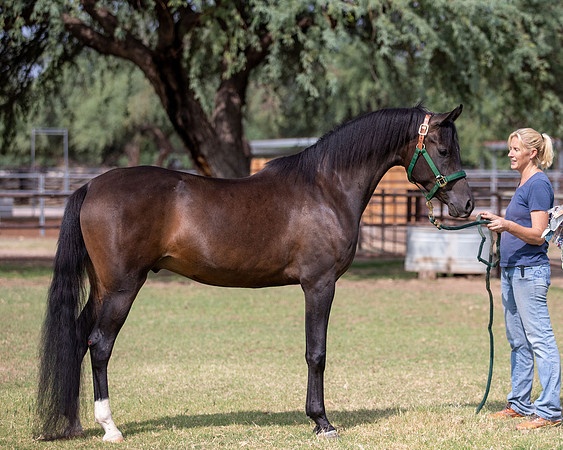 AgracedRS20_1168