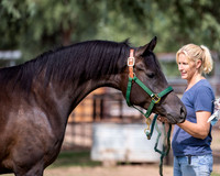 AgracedRS20_1170