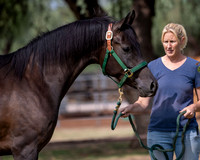 AgracedRS20_1152