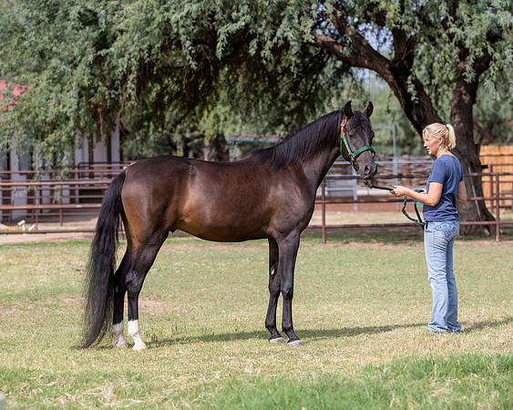 AgracedRS20_1139