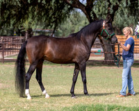 AgracedRS20_1146
