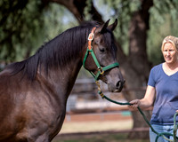 AgracedRS20_1150