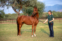 CowgirlJakeRS20-3382
