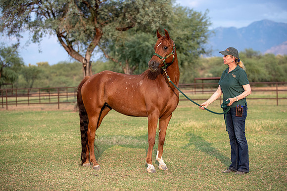CowgirlJakeRS20-3382
