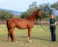 CowgirlJakeRS20-3399