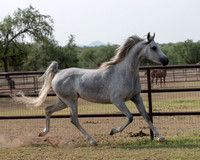 PhilomenaV20_0259