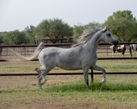PhilomenaV20_0261