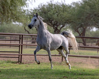 PhilomenaV20_0224