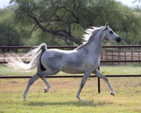 PhilomenaV20_0084