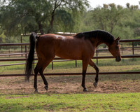 SweetKirsten20_0482