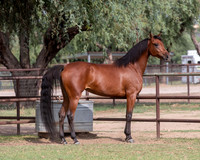SweetKirsten20_0435
