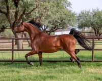 SweetKirsten20_0418