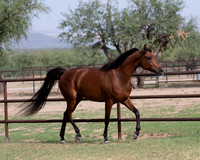 SweetKirsten20_0309