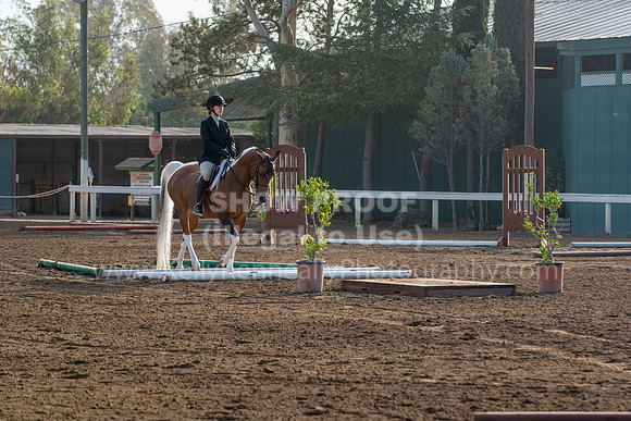 DAHAFall20_TrailMisc-7119