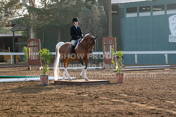DAHAFall20_TrailMisc-7111