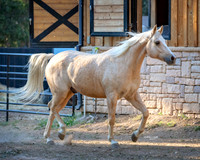 ZipsHighNoon21-0735