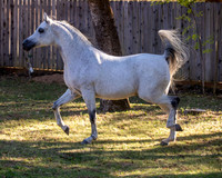 OmElSalmaan21-0158