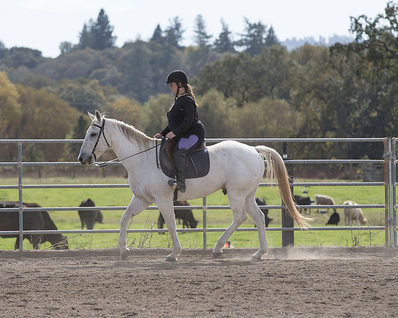 2016_HalloweenOpenShow_355