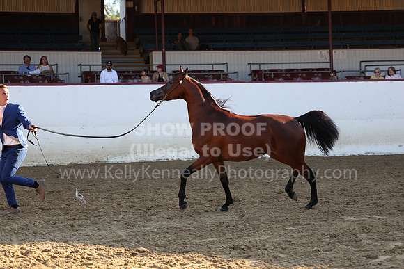 R2_22_Thurs_7167