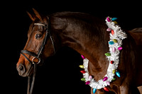 2020Holiday_Addison_0075