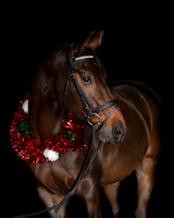 2020Holiday_Addison_0094