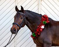 2020Holiday_Addison_0119