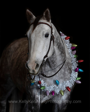 2020Holiday_Maverick_0898
