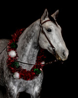 2020Holiday_Maverick_0864