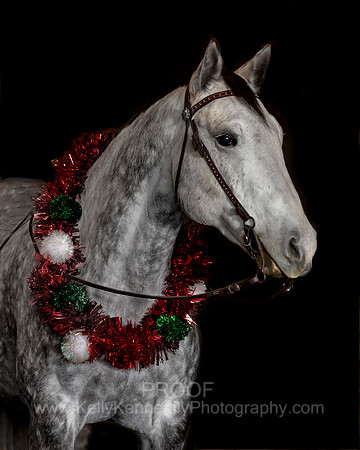 2020Holiday_Maverick_0864