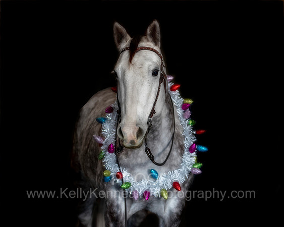 2020Holiday_Maverick_0876