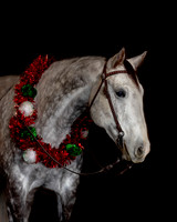 2020Holiday_Maverick_0869