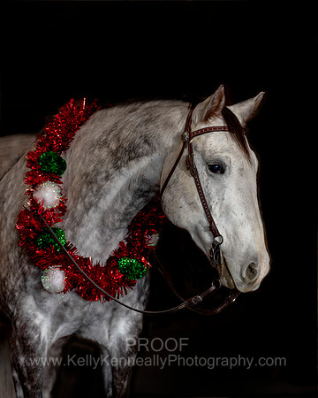 2020Holiday_Maverick_0869