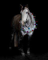 2020Holiday_Maverick_0899