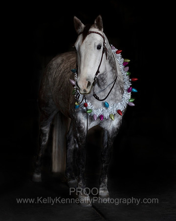 2020Holiday_Maverick_0899