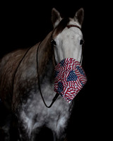2020Holiday_Maverick_0907