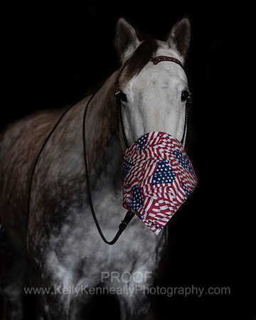 2020Holiday_Maverick_0907