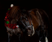 2020Holiday_Roscoe_0920