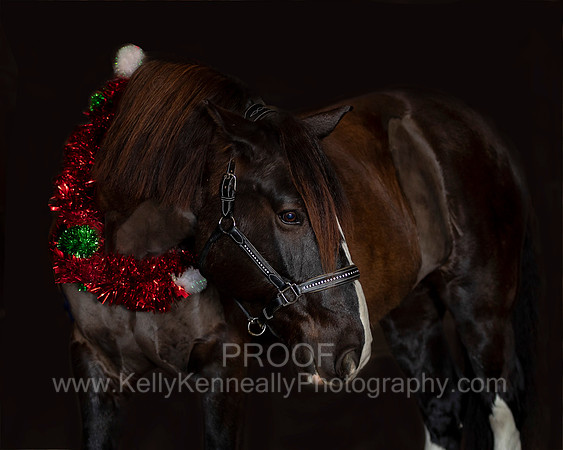 2020Holiday_Roscoe_0920