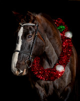 2020Holiday_Roscoe_0973