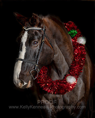 2020Holiday_Roscoe_0973