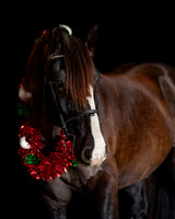 2020Holiday_Roscoe_1000