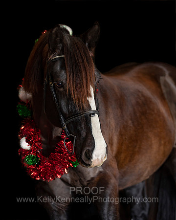 2020Holiday_Roscoe_1000
