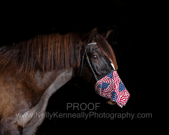 2020Holiday_Roscoe_1059