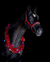 2020Holiday_Allie_0575
