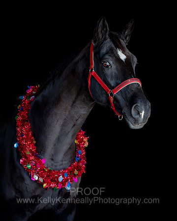 2020Holiday_Allie_0575